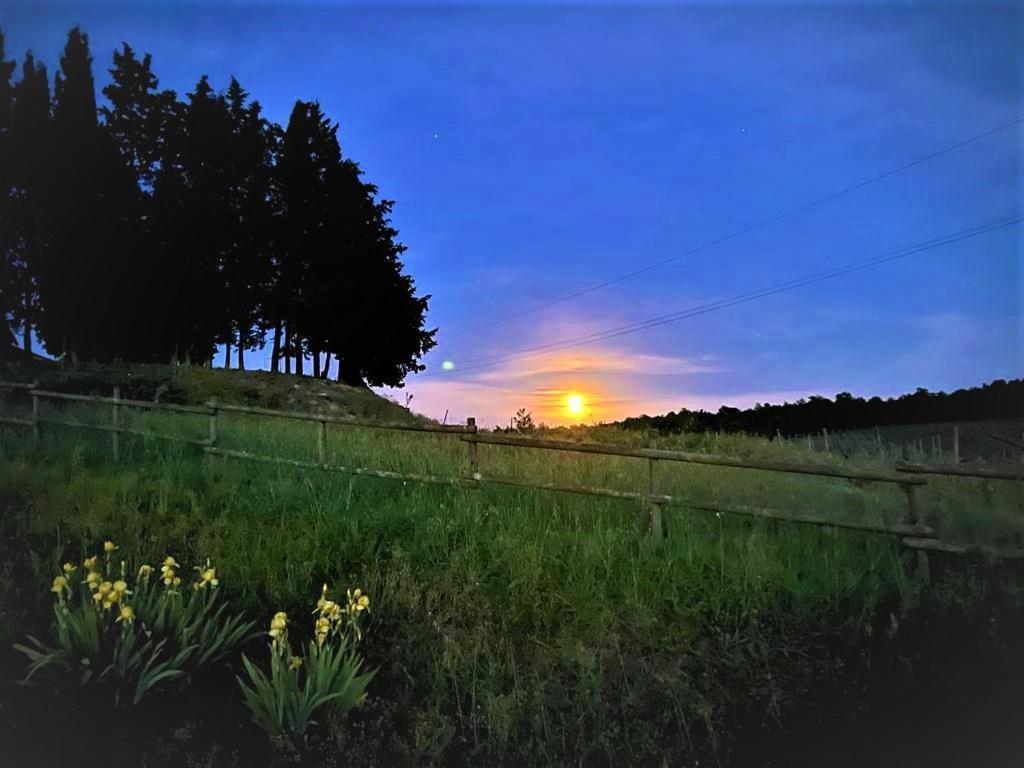 Podere La Selva Rapolano Terme Eksteriør billede