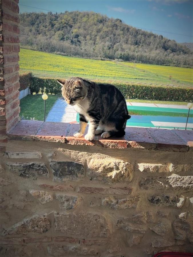 Podere La Selva Rapolano Terme Eksteriør billede