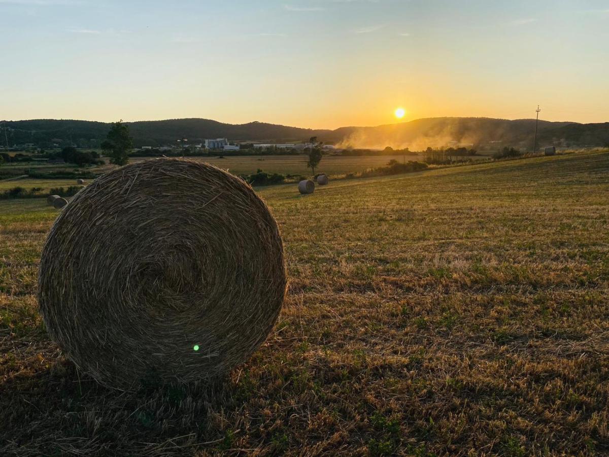 Podere La Selva Rapolano Terme Eksteriør billede