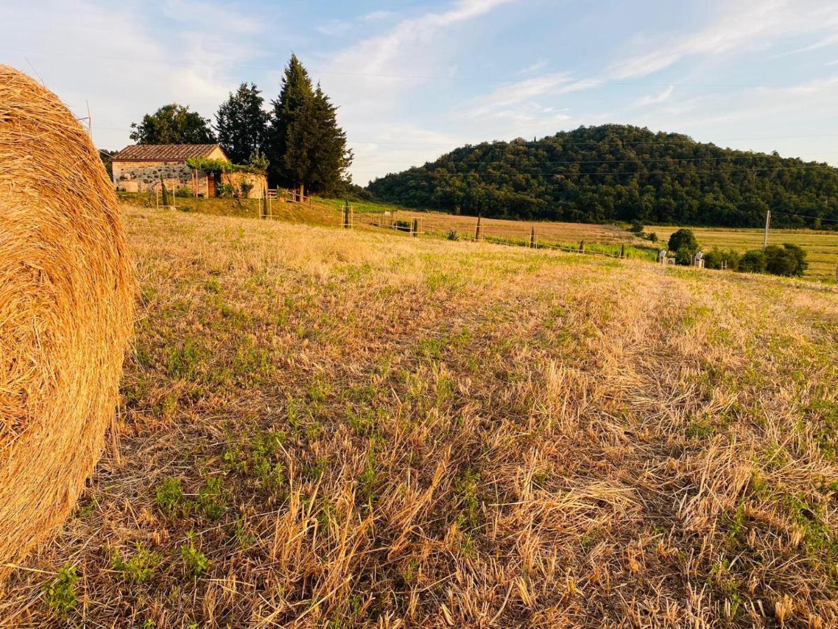 Podere La Selva Rapolano Terme Eksteriør billede