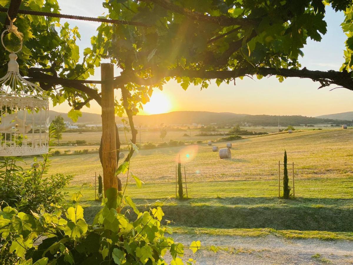 Podere La Selva Rapolano Terme Eksteriør billede