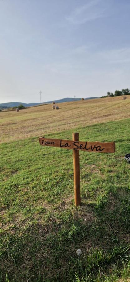 Podere La Selva Rapolano Terme Eksteriør billede