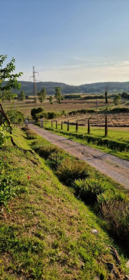 Podere La Selva Rapolano Terme Eksteriør billede