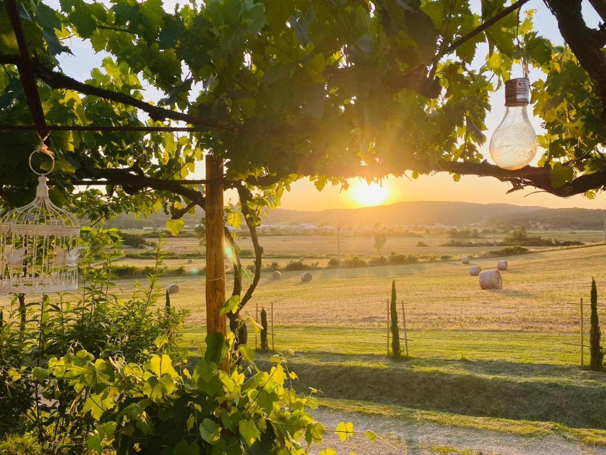 Podere La Selva Rapolano Terme Eksteriør billede