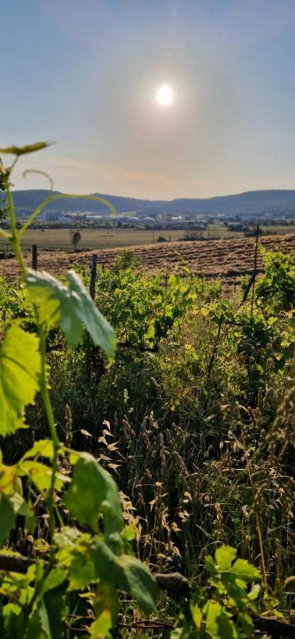 Podere La Selva Rapolano Terme Eksteriør billede