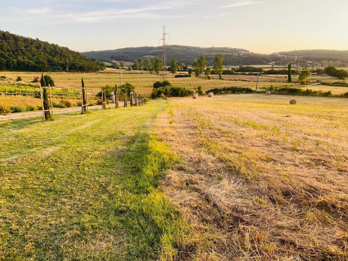 Podere La Selva Rapolano Terme Eksteriør billede