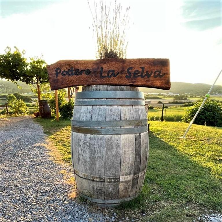 Podere La Selva Rapolano Terme Eksteriør billede