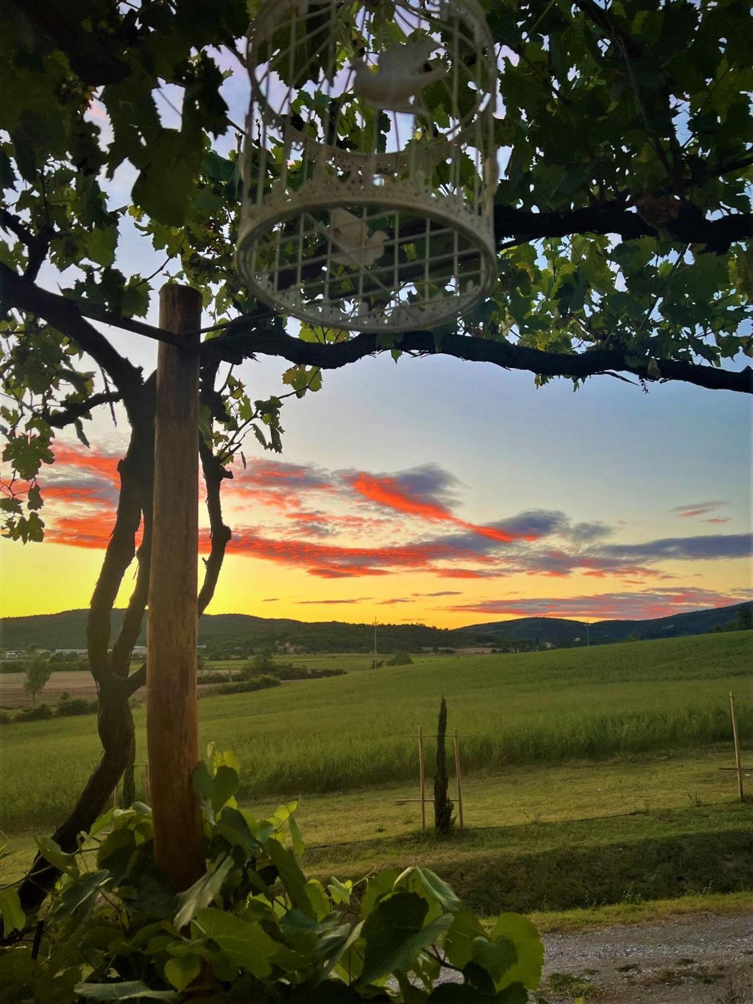 Podere La Selva Rapolano Terme Eksteriør billede
